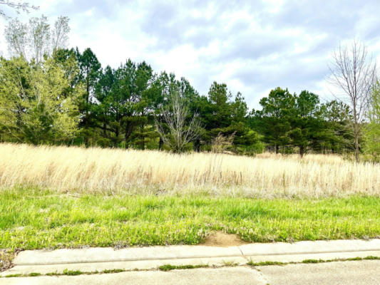 BRYAN LOT 6 ST., NEW ALBANY, MS 38652, photo 2 of 2