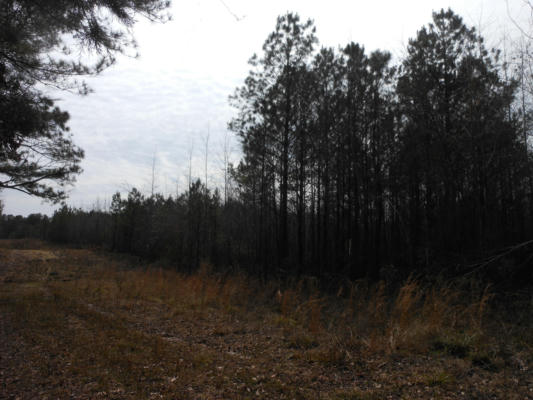 CHARLEY DONALD ROAD, FULTON, MS 38843, photo 4 of 6