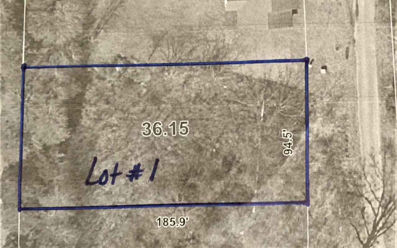 SIMMONS LOT #1, SHANNON, MS 38868, photo 1