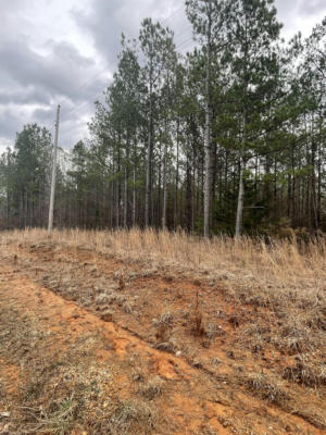 LOT #2, CR 204, TIPLERSVILLE, MS 38674, photo 4 of 4