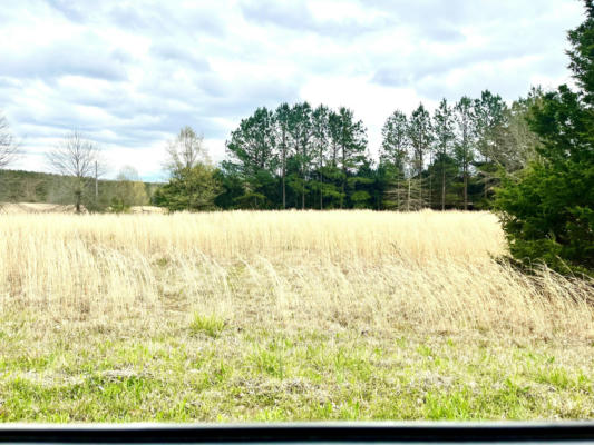 BRYAN LOT 4 ST., NEW ALBANY, MS 38652, photo 2 of 2