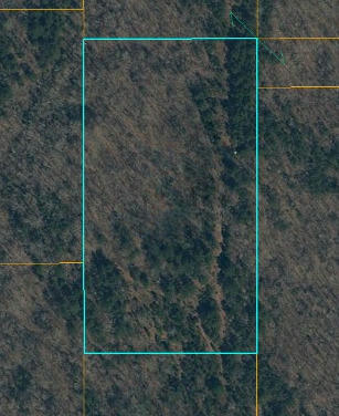 (6 ACRES) ARNOLD TRAIL, PONTOTOC, MS 38863, photo 1 of 2