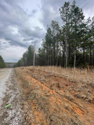 LOT #2, CR 204, TIPLERSVILLE, MS 38674, photo 3 of 4