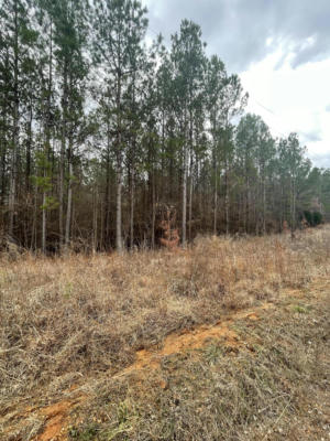 LOT #2, CR 204, TIPLERSVILLE, MS 38674, photo 2 of 4