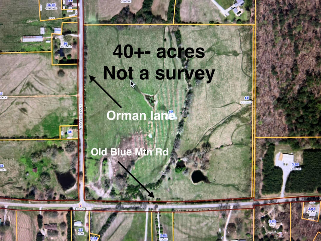 ORMAN LN., RIPLEY, MS 38663, photo 1