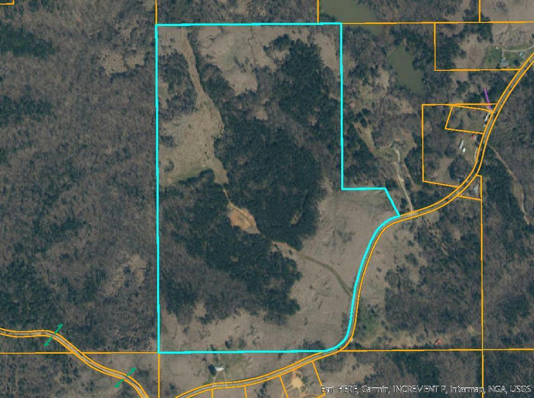 (97.3 ACRES) TUSCUMBIA ROAD, PONTOTOC, MS 38863, photo 1 of 2