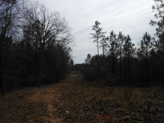 CHARLEY DONALD ROAD, FULTON, MS 38843, photo 3 of 6