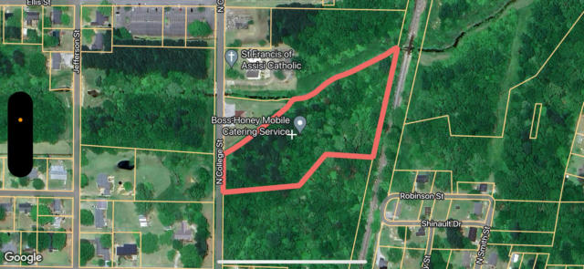 6.4 AC N COLLEGE ST, BOONEVILLE, MS 38829 - Image 1
